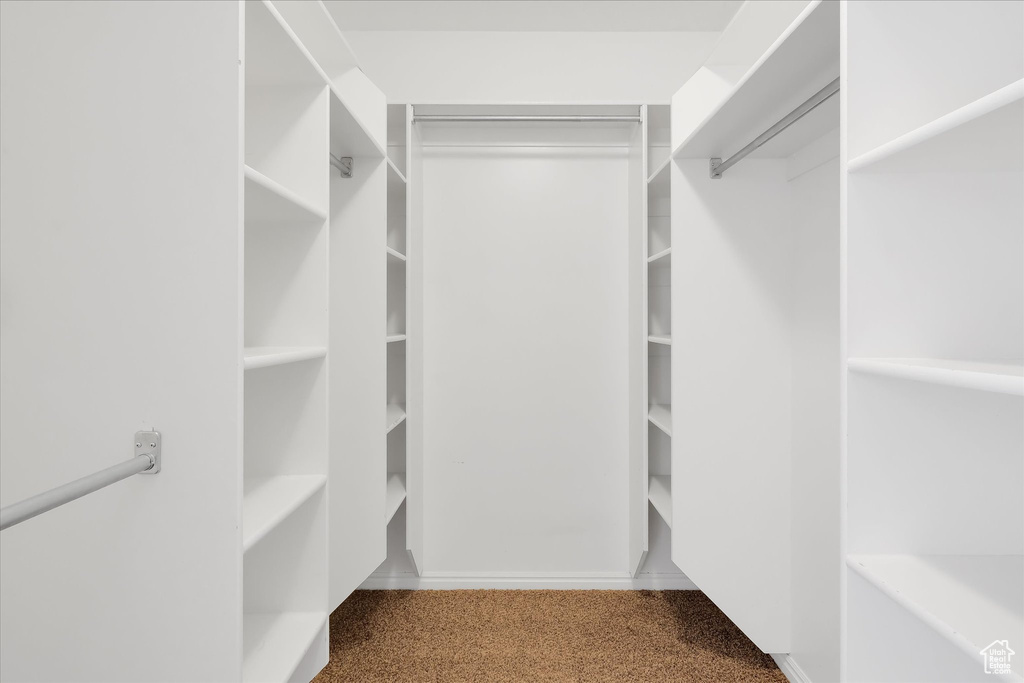 Walk in closet featuring carpet floors