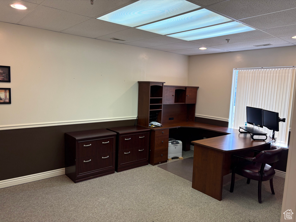 Home office featuring a paneled ceiling, carpet, and recessed lighting