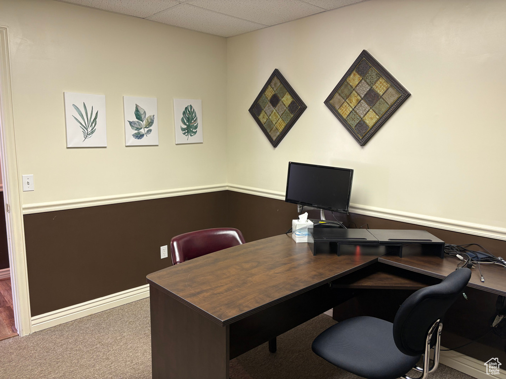 Carpeted home office featuring a paneled ceiling