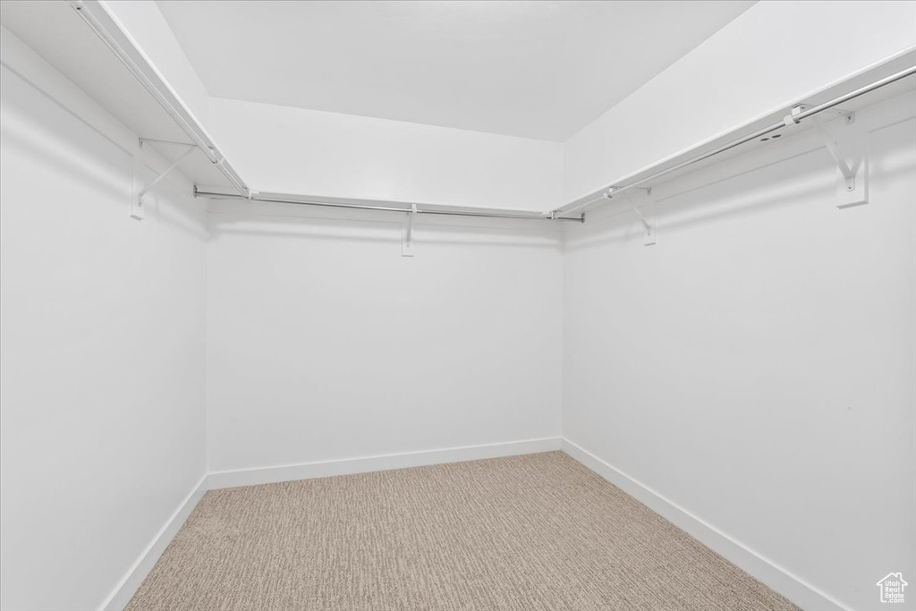 Spacious closet featuring carpet