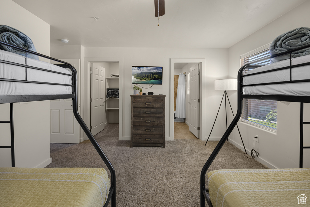 Bedroom featuring carpet floors, a spacious closet, and a ceiling fan
