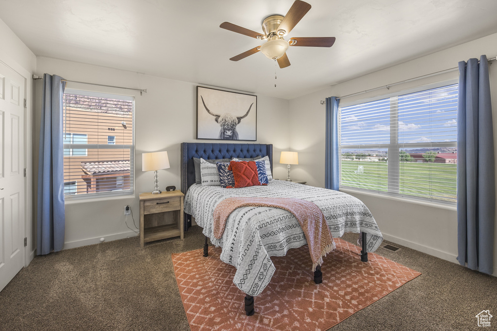 Carpeted bedroom featuring multiple windows and a ceiling fan