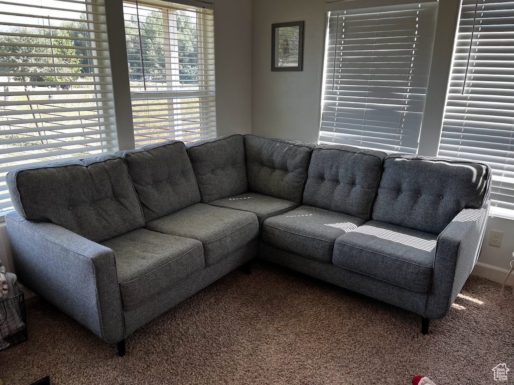 Living room featuring carpet