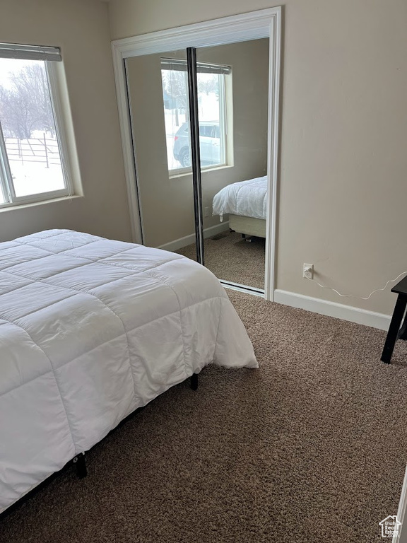 Carpeted bedroom featuring multiple windows