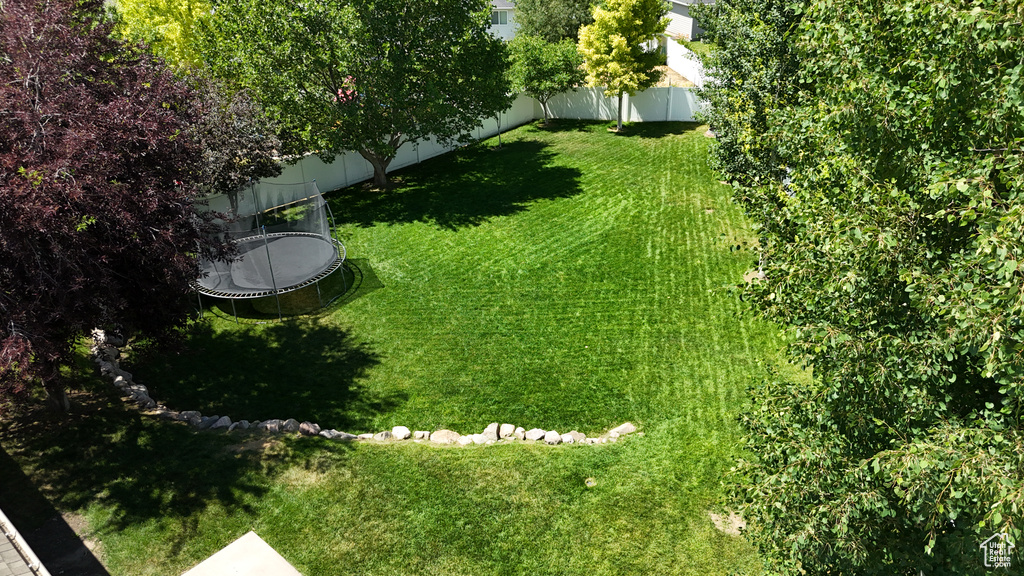 Fenced backyard featuring a trampoline