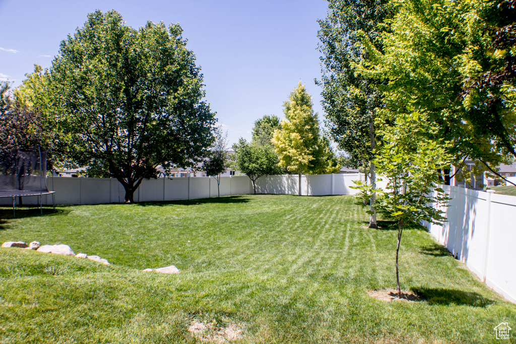 Fenced backyard featuring a trampoline