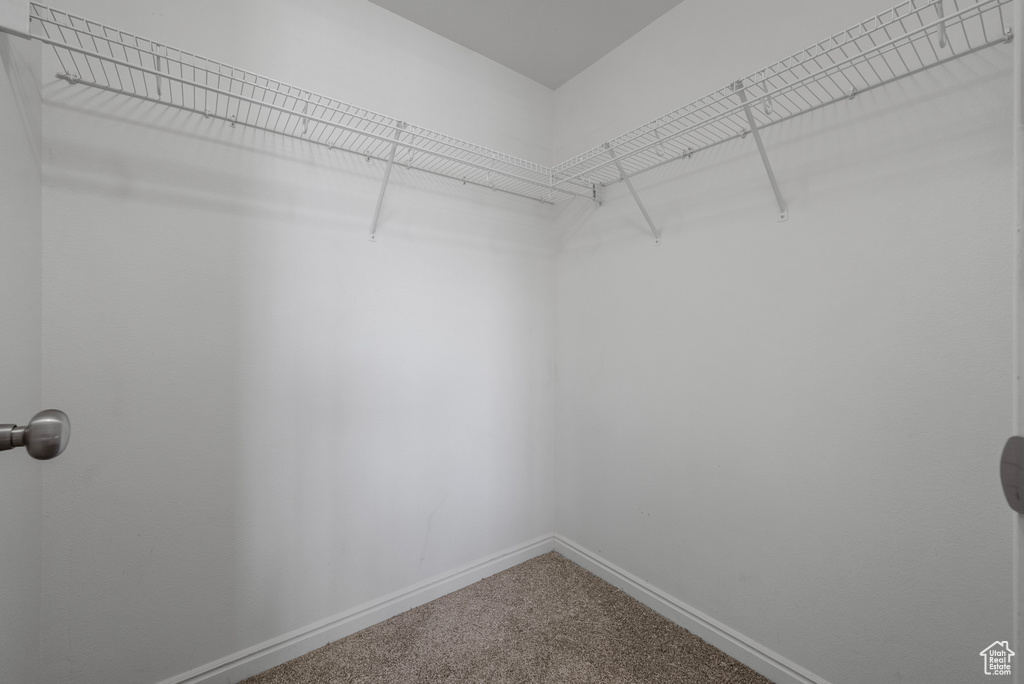 Spacious closet featuring carpet
