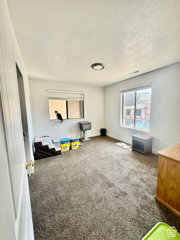 Game room with carpet floors and a textured ceiling