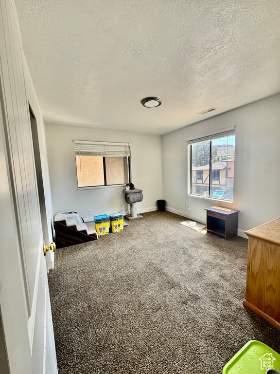 Recreation room featuring a textured ceiling and carpet flooring