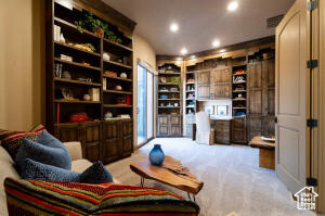 Living area with carpet floors and recessed lighting