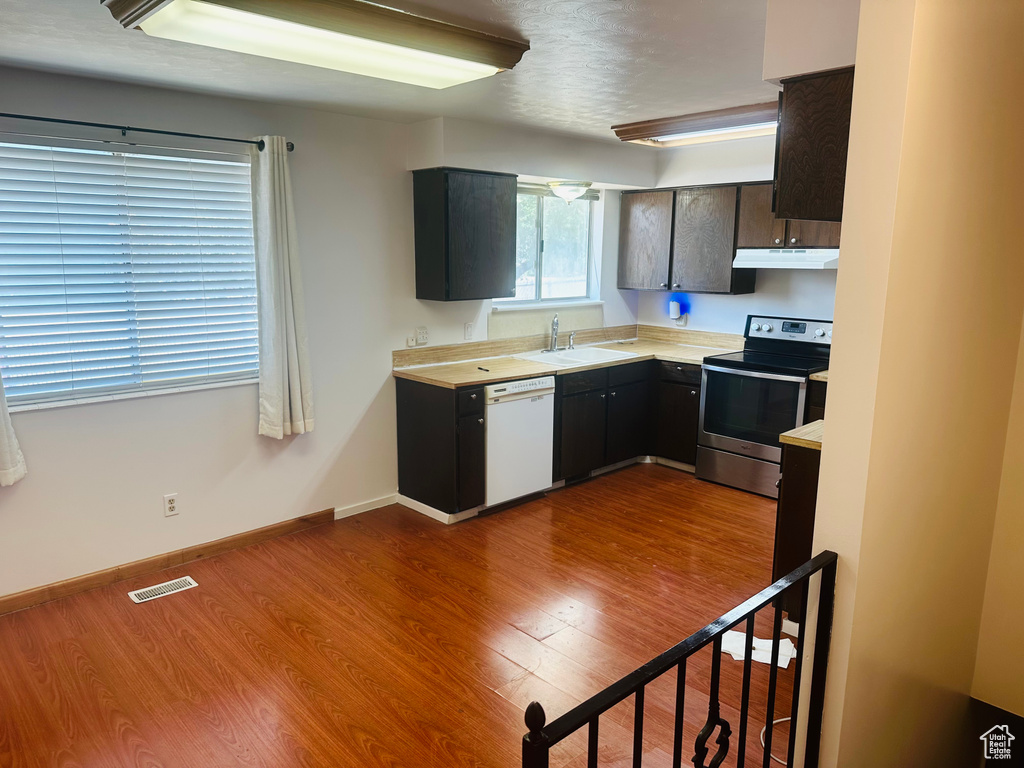Kitchen with stainless steel range with electric stovetop, white dishwasher, under cabinet range hood, light countertops, and dark wood-style flooring