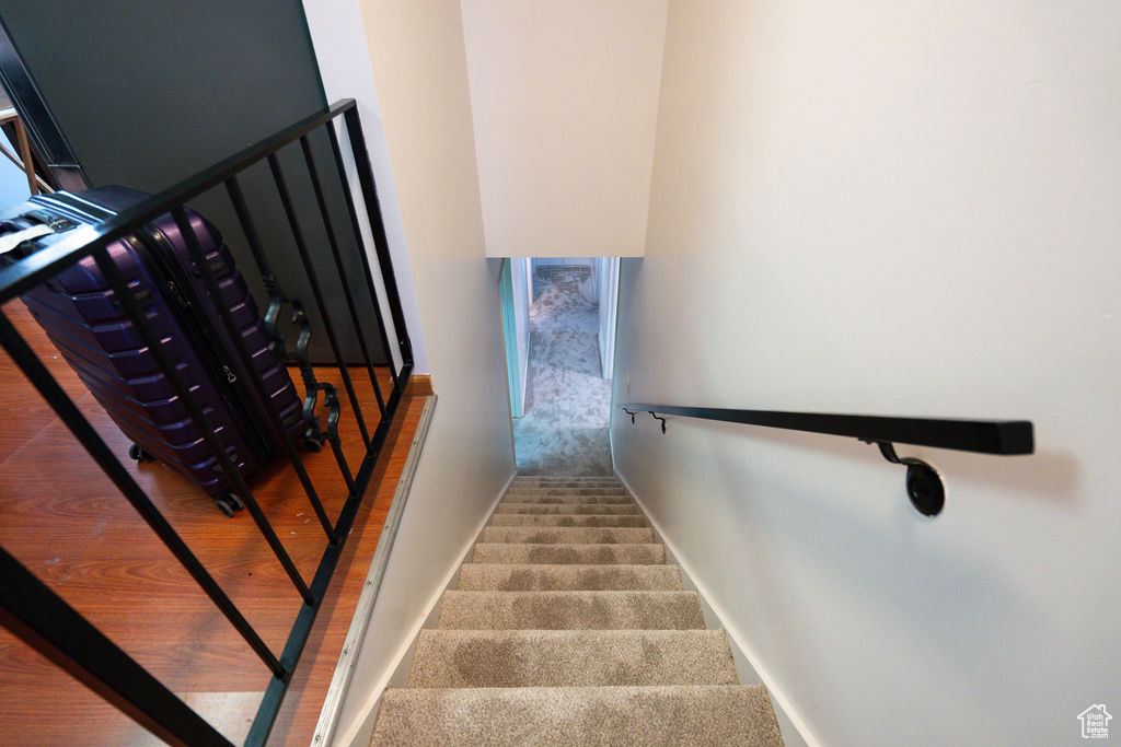 Stairway with baseboards and carpet flooring