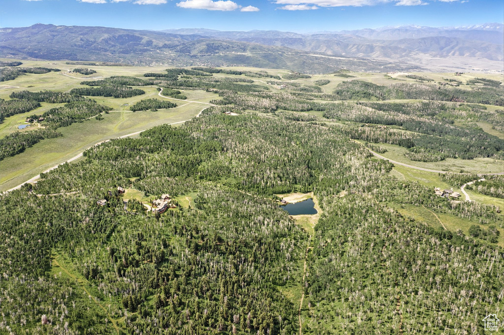 1555  WOLF CREEK RANCH RD Heber City, UT 84032