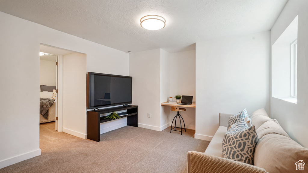 Carpeted living area featuring baseboards and a textured ceiling