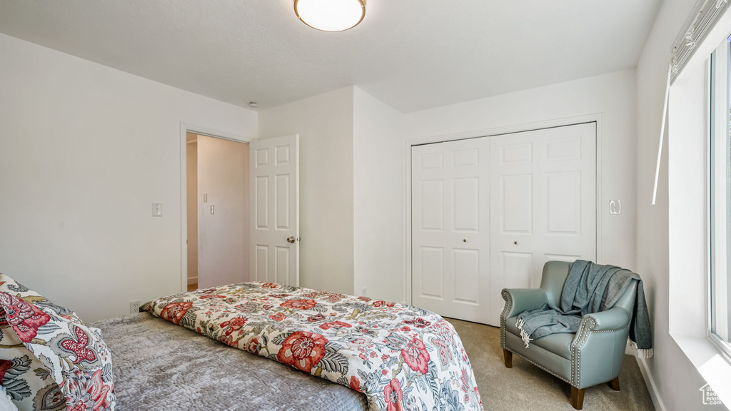Bedroom featuring carpet floors, a closet, and multiple windows