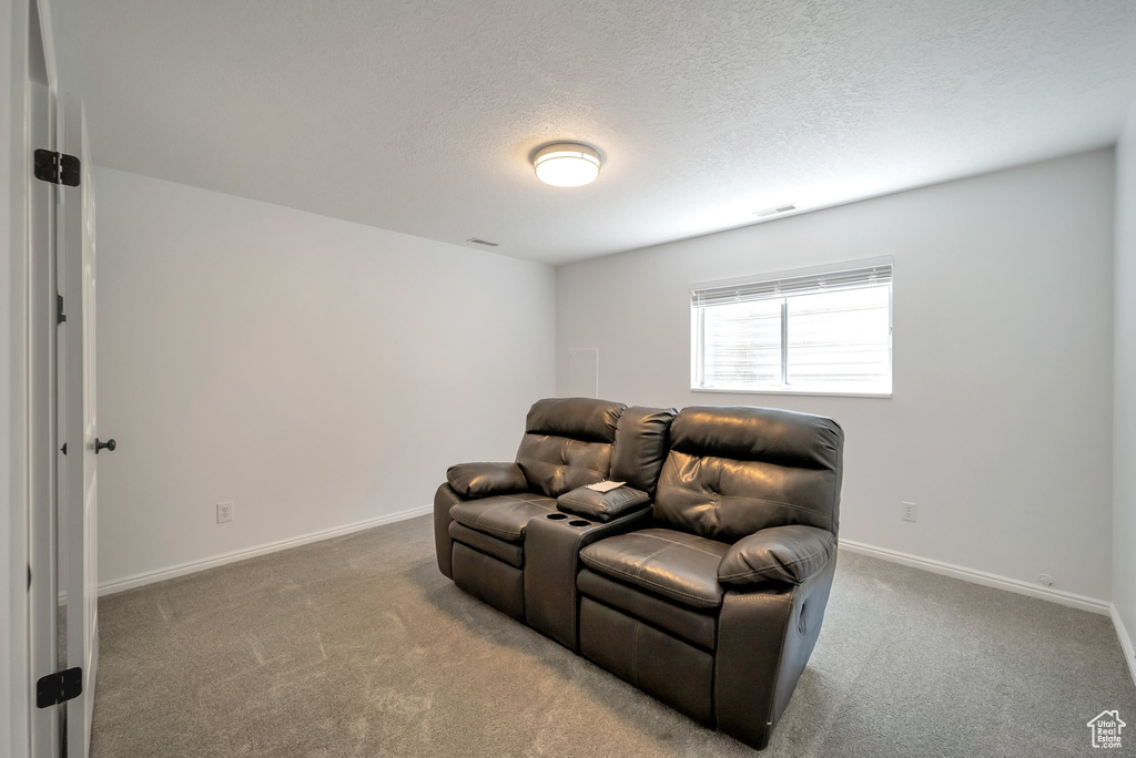 Sitting room featuring carpet floors and a textured ceiling
