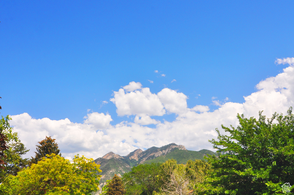 2845 BANBURY RD Cottonwood Heights, UT 84121