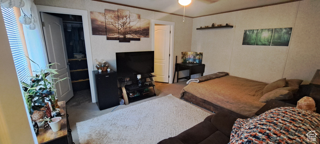 Carpeted bedroom with multiple windows and crown molding
