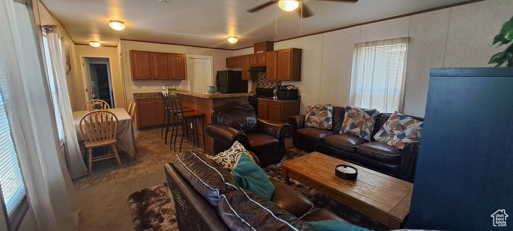 Living room with ceiling fan