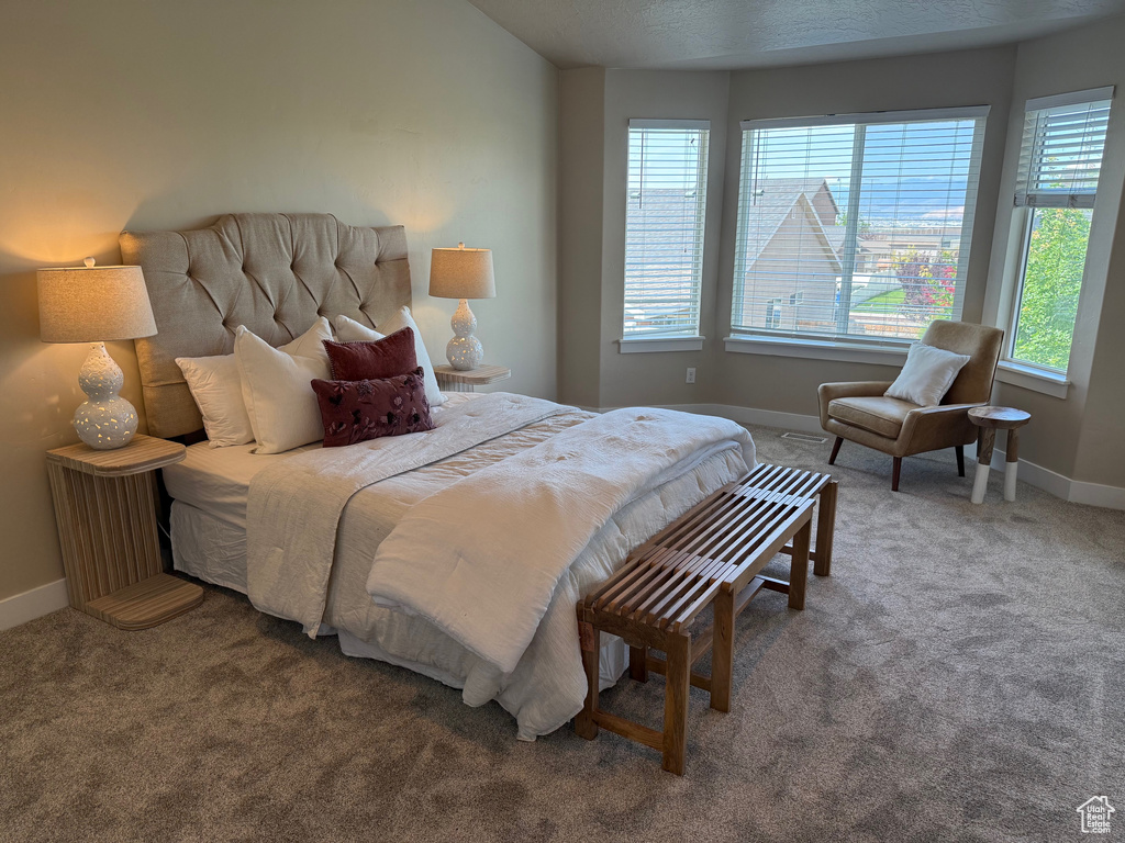 Bedroom with multiple windows and carpet