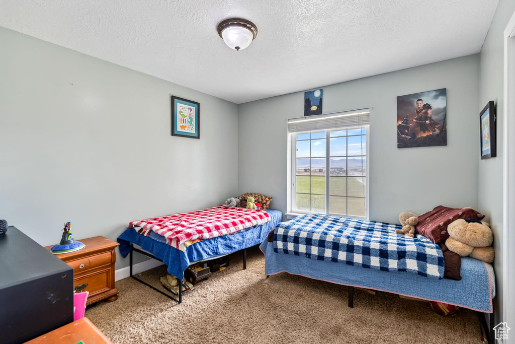 1542 N 1400 W Preston, ID 83263