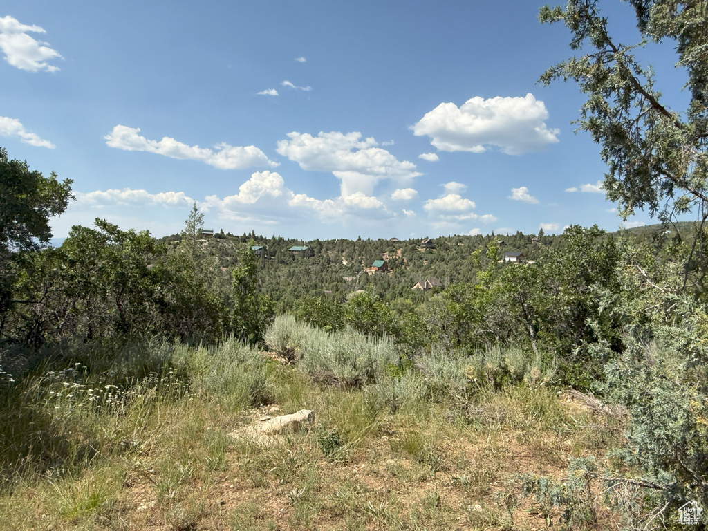 12695 E 14800 #59 Mt Pleasant, UT 84647