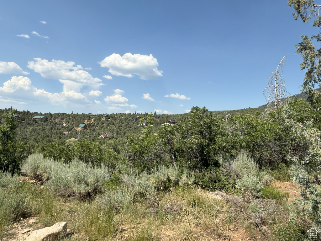 12695 E 14800 #59 Mt Pleasant, UT 84647