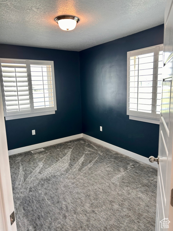 Unfurnished room featuring a textured ceiling, healthy amount of natural light, and carpet