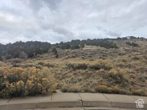 2678 W COOKIE JAR CIR Cedar City, UT 84720