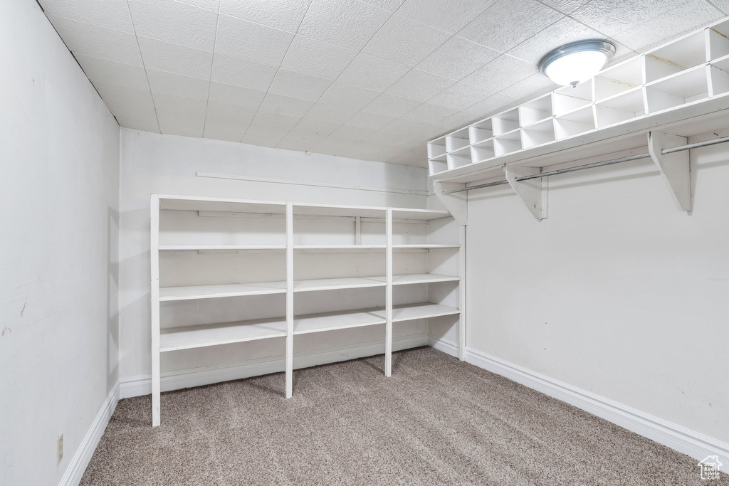 Spacious closet with carpet