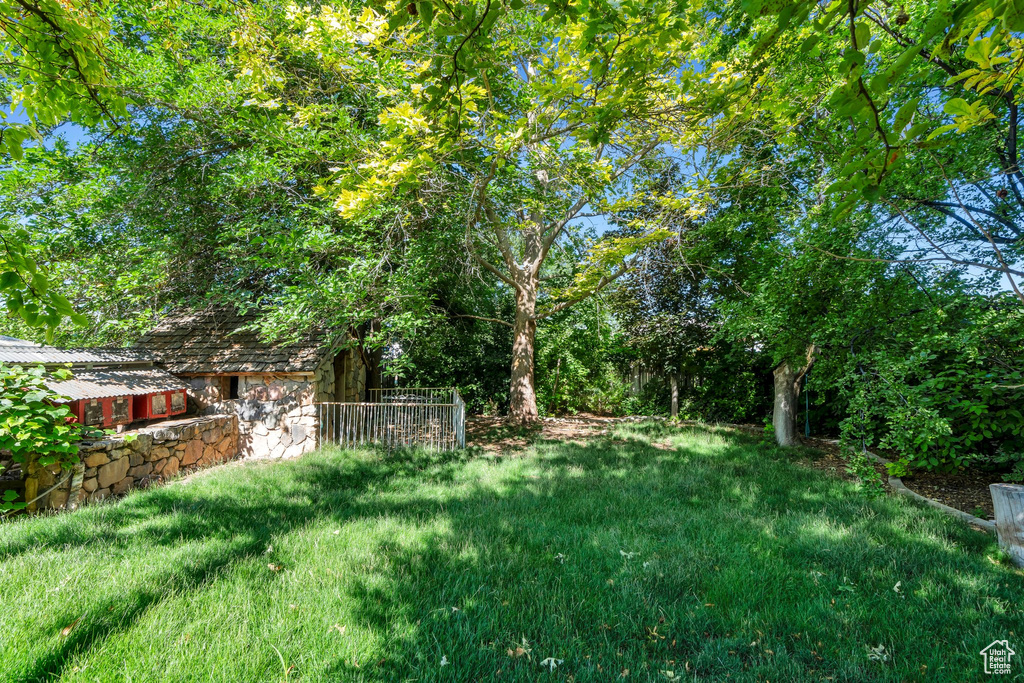 View of grassy yard