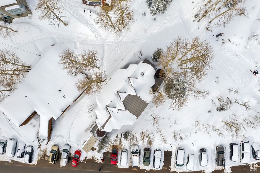 10231 E LITTLE COTTONWOOD RD Alta, UT 84092