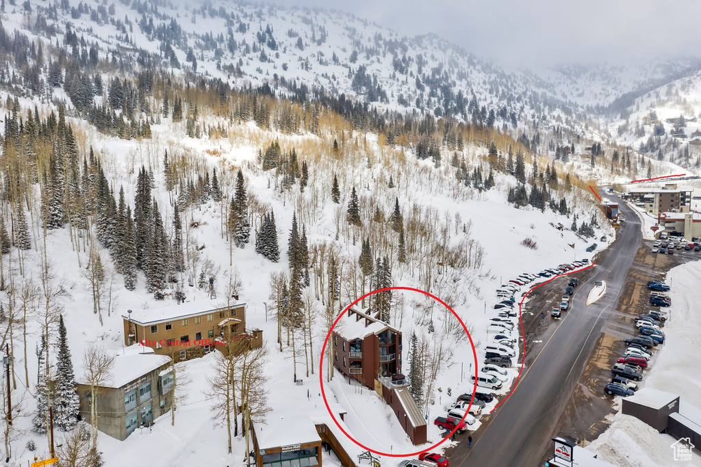 10231 E LITTLE COTTONWOOD RD Alta, UT 84092