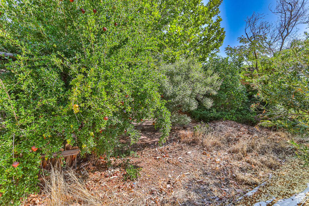 709 N 2200 E St George, UT 84790