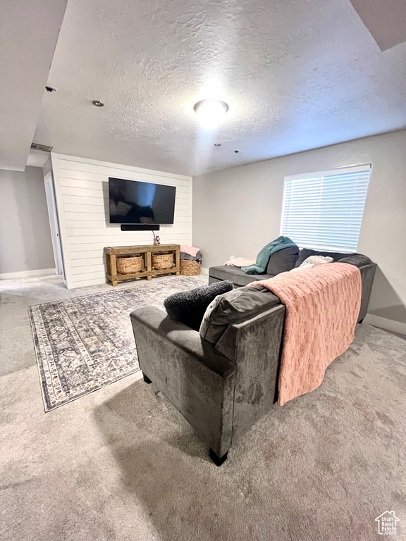 Carpeted living room with a textured ceiling