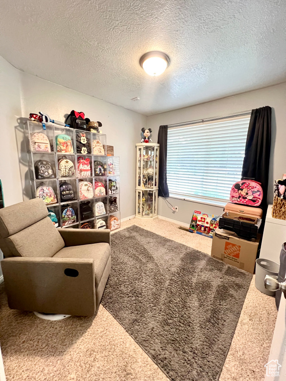 Sitting room with a textured ceiling and carpet flooring