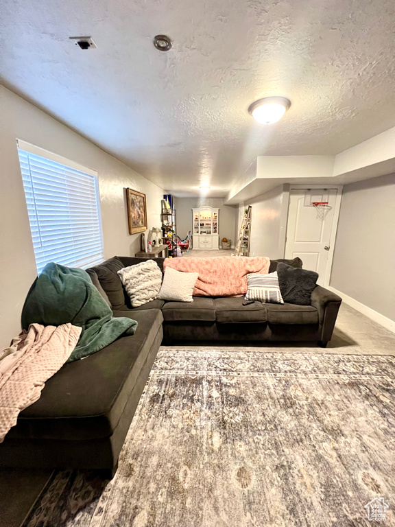 Living room with a textured ceiling