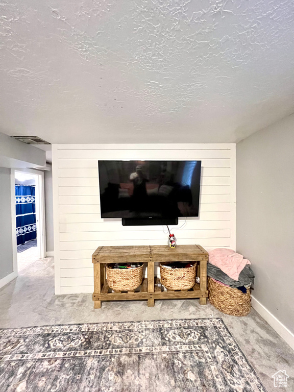 Detailed view of carpet flooring and a textured ceiling