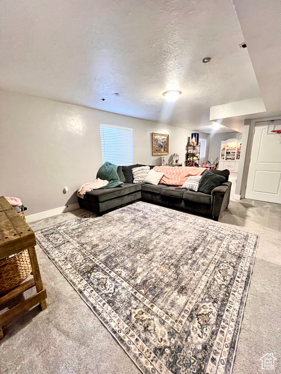 Carpeted living area with a textured ceiling and baseboards