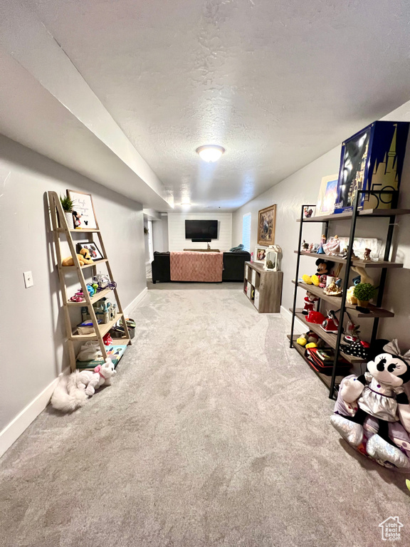 Finished basement featuring a textured ceiling and carpet flooring
