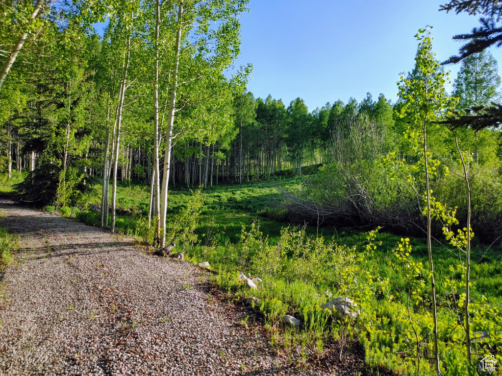 11728 E RACCOON DR #1951 Heber City, UT 84032