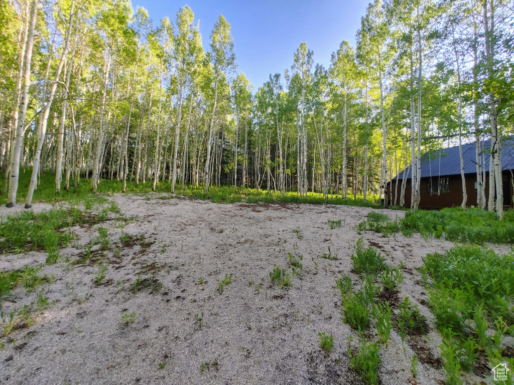 11728 E RACCOON DR #1951 Heber City, UT 84032