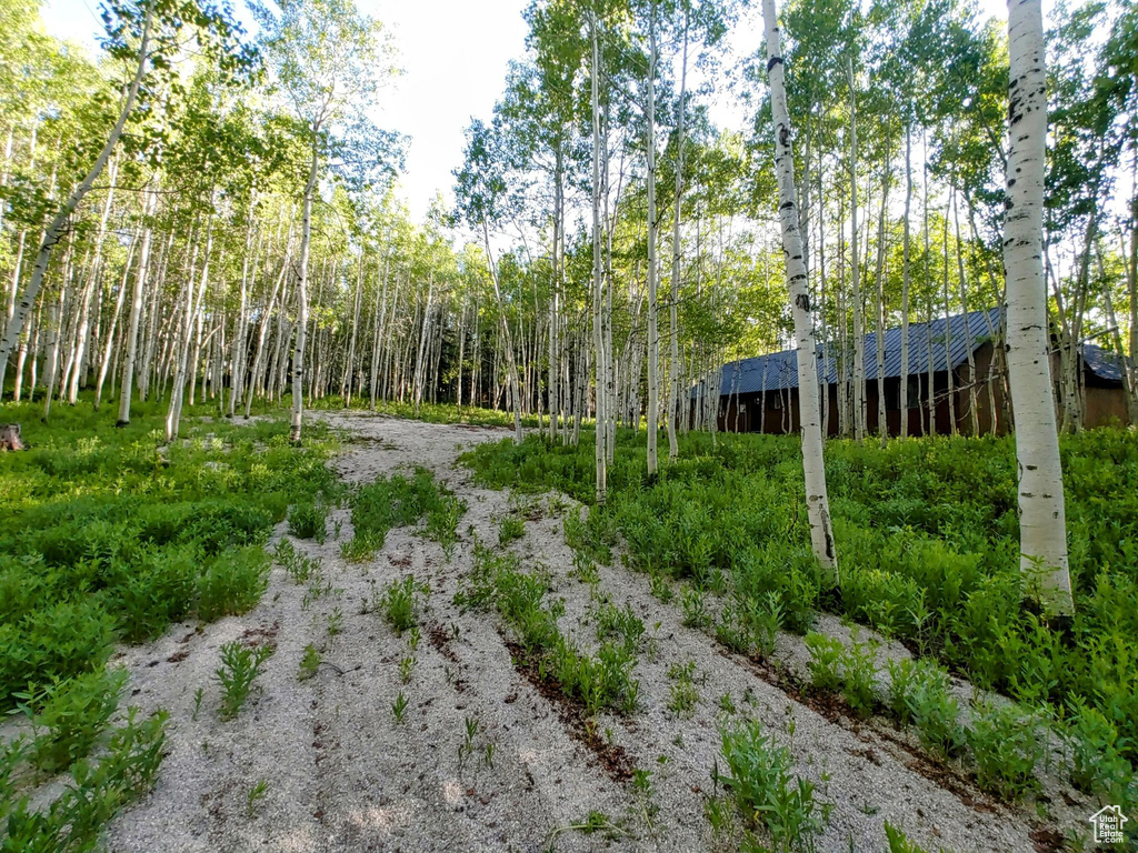 11728 E RACCOON DR #1951 Heber City, UT 84032