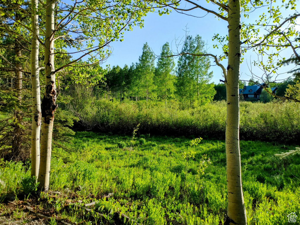 11728 E RACCOON DR #1951 Heber City, UT 84032