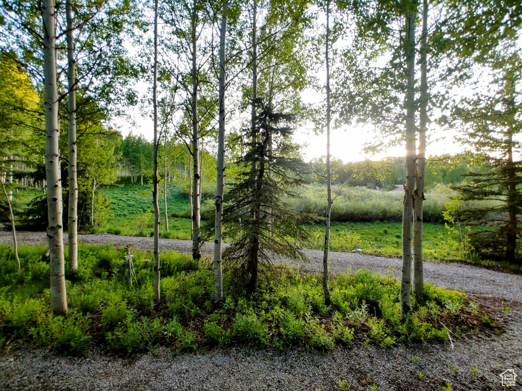11728 E RACCOON DR #1951 Heber City, UT 84032