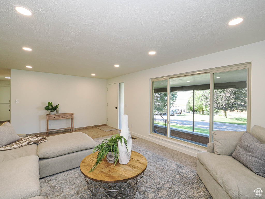 Living area with recessed lighting and a textured ceiling