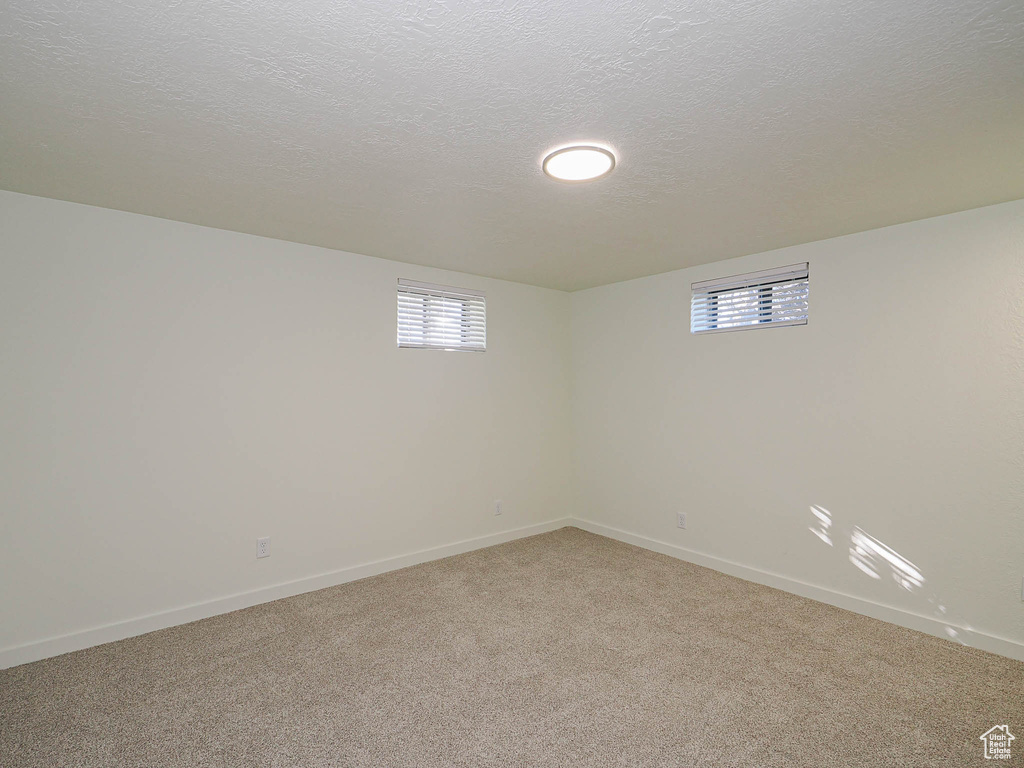 Basement featuring light colored carpet and a textured ceiling