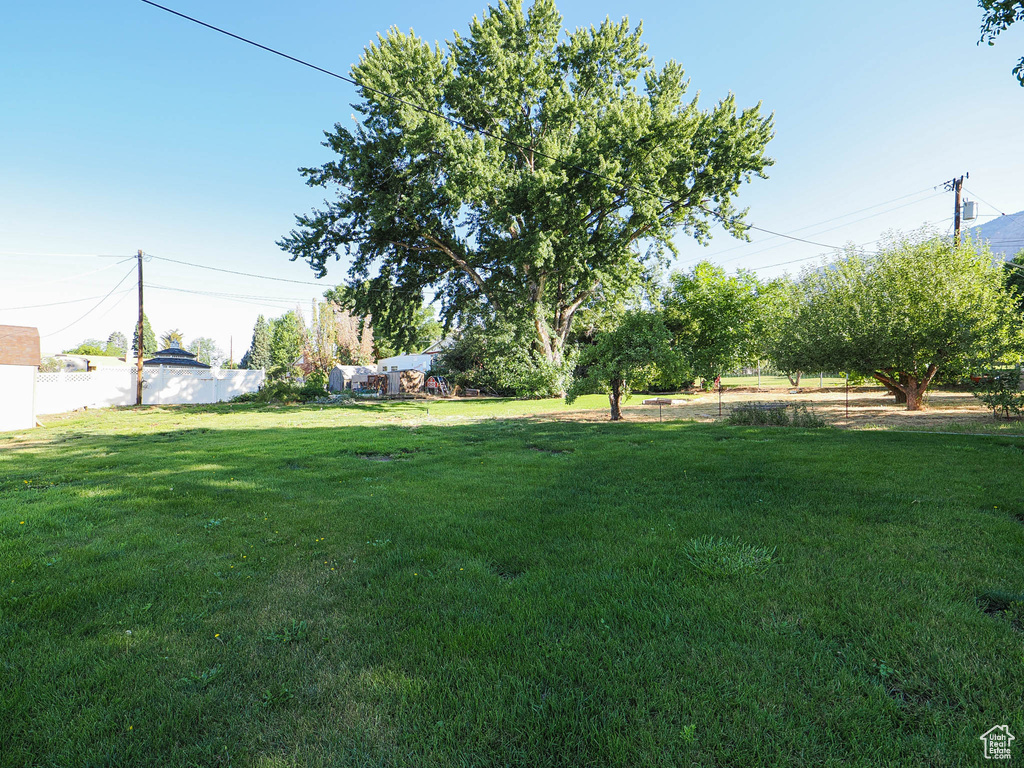 View of yard
