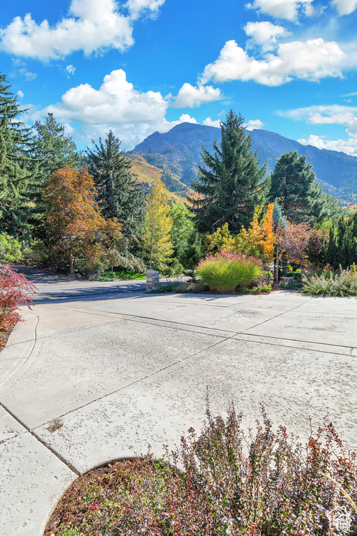View of mountain background