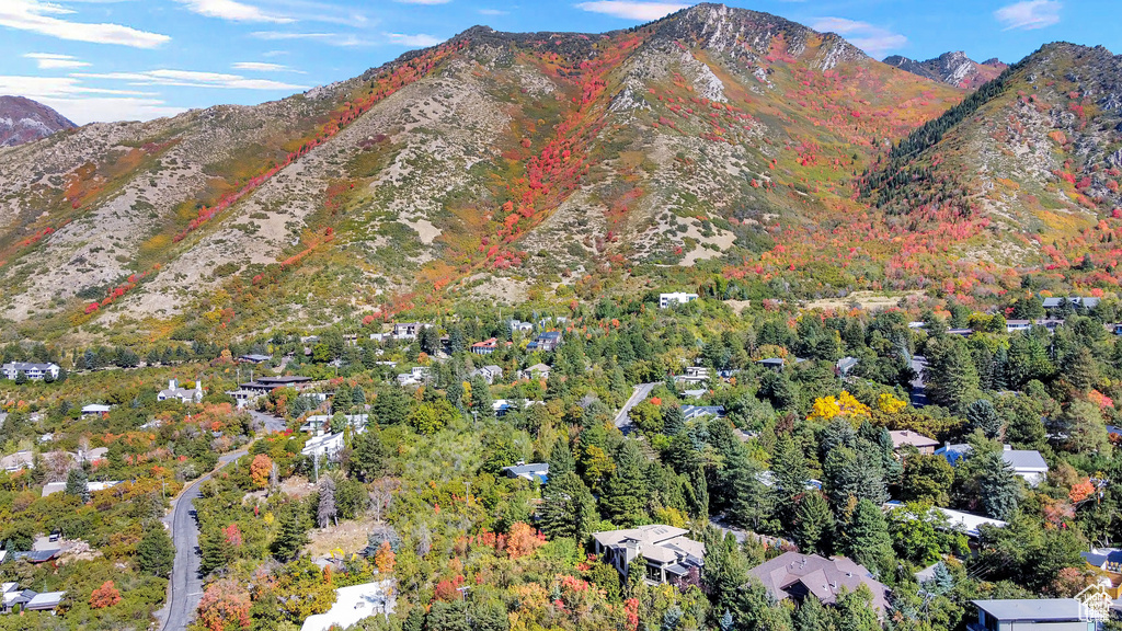 View of mountain background